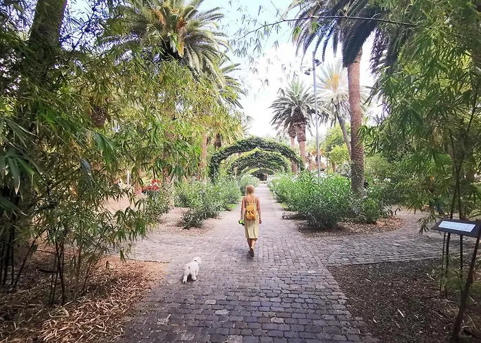 Home2book Sea Front Teresitas Attic * San Andrés